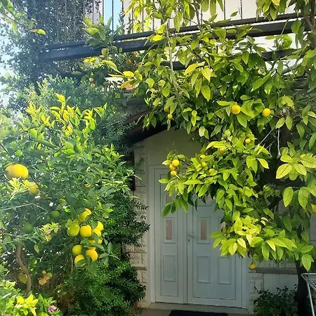 Διαμέρισμα 11848a
